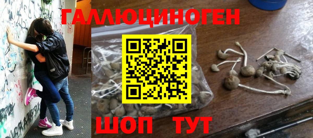Галлюциногенные грибы мухоморы  Псилоцибиновые грибы ЛСД  где найти   Новошахтинск  Вход с VPN 