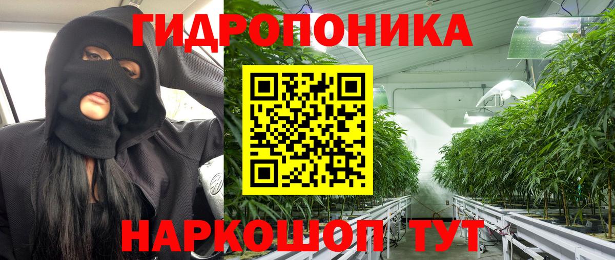 Новошахтинск  Бошки Шишки план  Бошки Шишки Ganja  Каннабис VHQ  Вход с VPN 